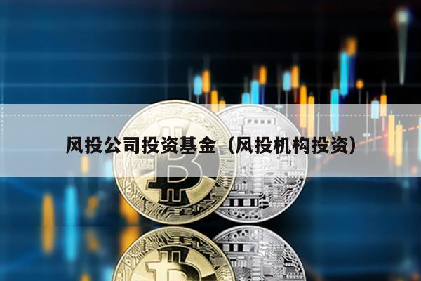 風投公司投資基金(風投機構投資)