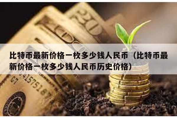 比特幣最新價格一枚多少錢人民幣(比特幣最新價格一枚多少錢人民幣歷史價格)