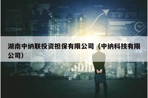 湖南中納聯投資擔保有限公司(中納科技有限公司)