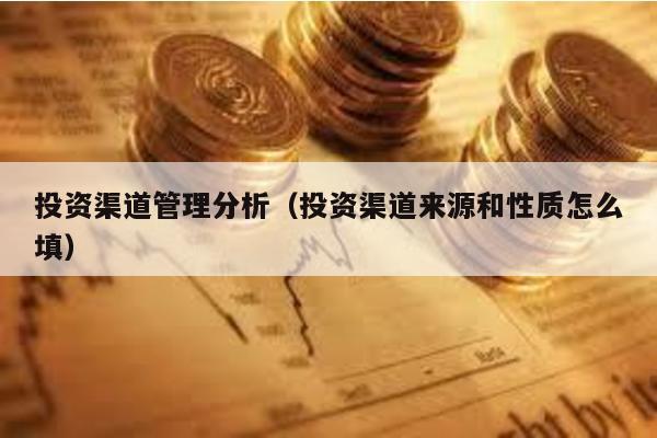 投資渠道管理分析(投資渠道來源和性質(zhì)怎么填)