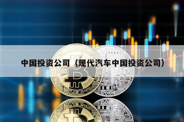 中國投資公司(現代汽車中國投資公司)