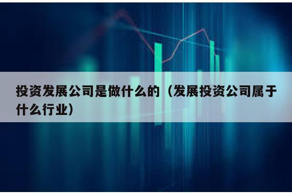 投資發展公司是做什么的(發展投資公司屬于什么行業)