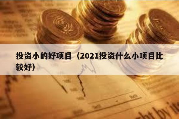 投資小的好項目(2021投資什么小項目比較好)