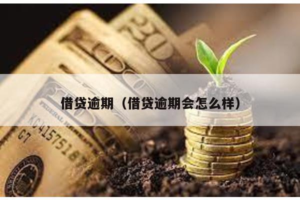 借貸逾期(借貸逾期會怎么樣)