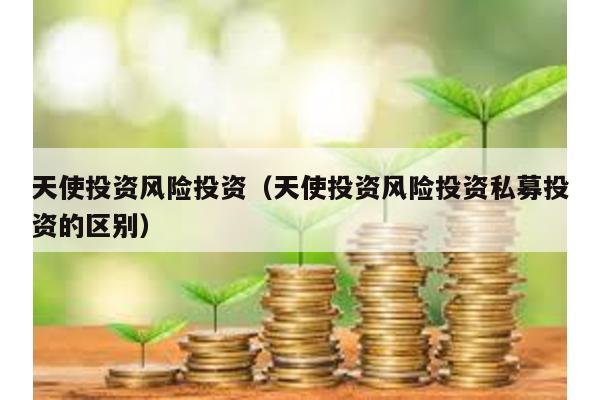 天使投資風險投資(天使投資風險投資私募投資的區別)