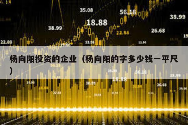楊向陽投資的企業(楊向陽的字多少錢一平尺)