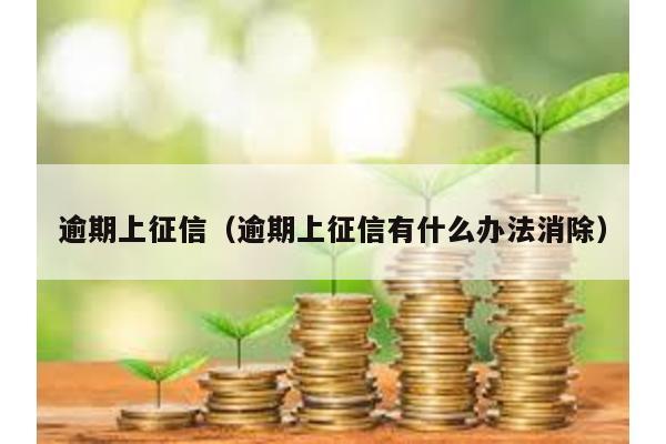 逾期上征信(逾期上征信有什么辦法消除)