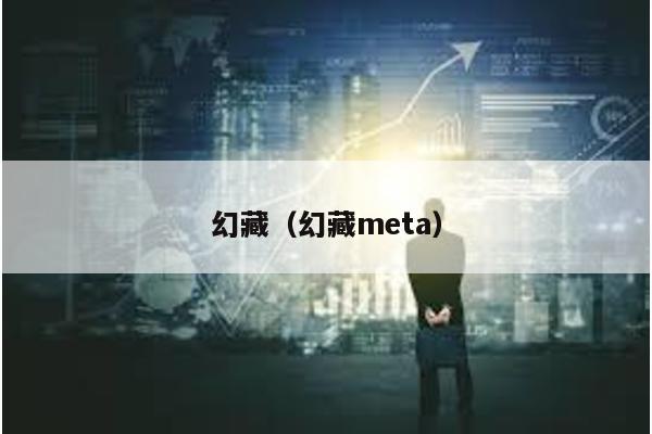 幻藏(幻藏meta)