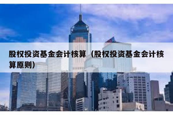 股權投資基金會計核算(股權投資基金會計核算原則)