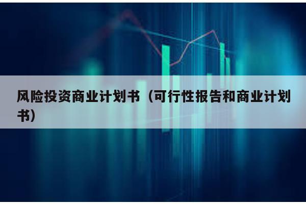 風險投資商業計劃書(可行性報告和商業計劃書)