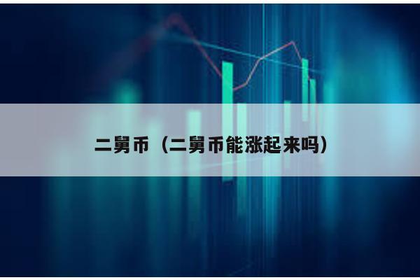 二舅幣(二舅幣能漲起來嗎)