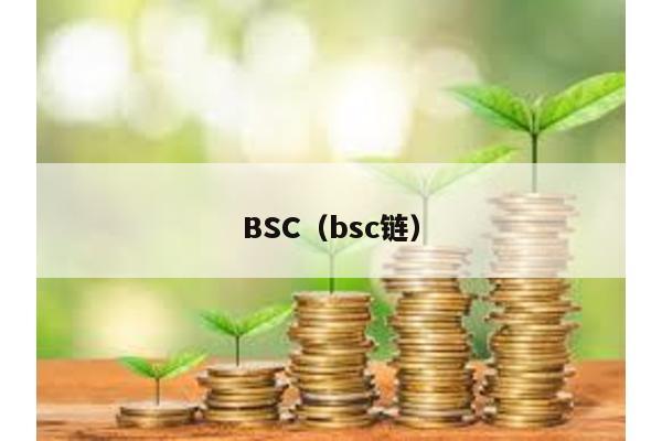 BSC(bsc鏈)