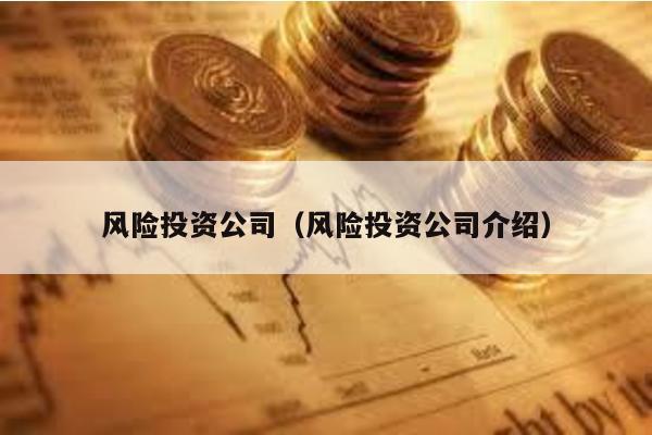 風(fēng)險投資公司(風(fēng)險投資公司介紹)