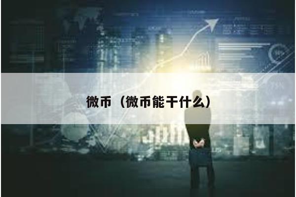 微幣(微幣能干什么)