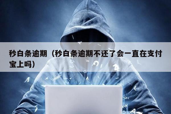 秒白條逾期(秒白條逾期不還了會一直在支付寶上嗎)