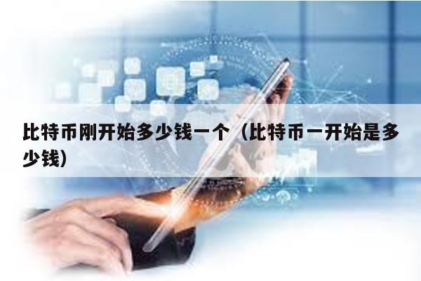 比特幣剛開始多少錢一個(比特幣一開始是多少錢)