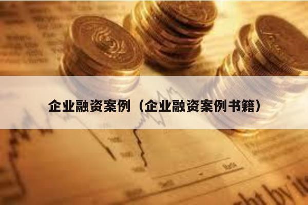 企業(yè)融資案例(企業(yè)融資案例書籍)