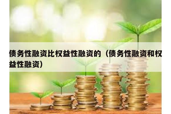債務性融資比權益性融資的(債務性融資和權益性融資)