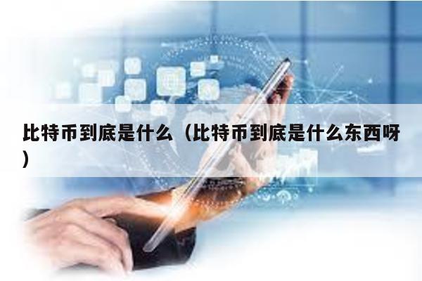 比特幣到底是什么(比特幣到底是什么東西呀)