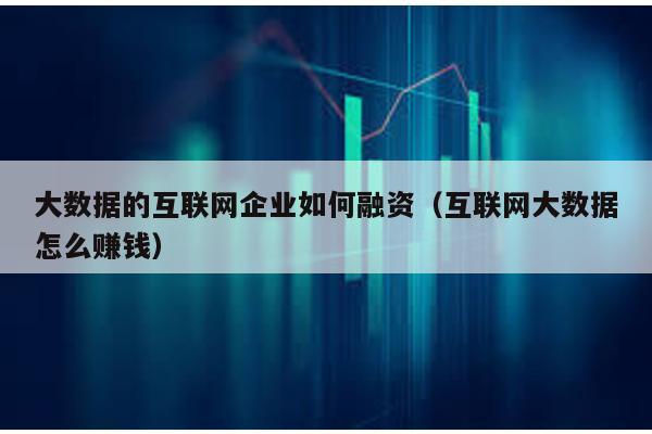 大數據的互聯網企業如何融資(互聯網大數據怎么賺錢)