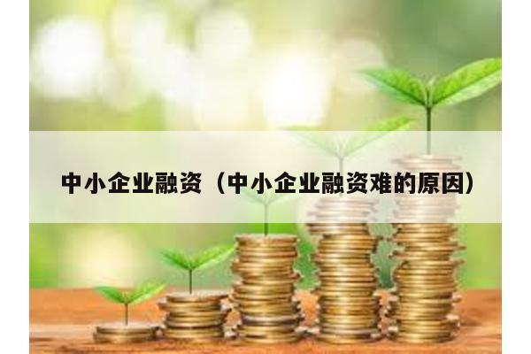 中小企業融資(中小企業融資難的原因)