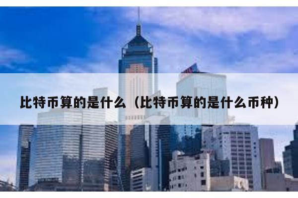 比特幣算的是什么(比特幣算的是什么幣種)