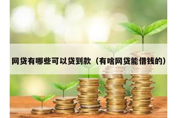 網貸有哪些可以貸到款(有啥網貸能借錢的)