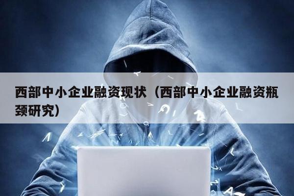 西部中小企業融資現狀(西部中小企業融資瓶頸研究)