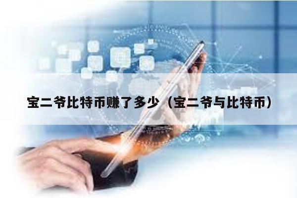 寶二爺比特幣賺了多少(寶二爺與比特幣)