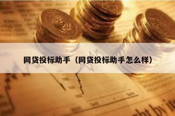網貸投標助手(網貸投標助手怎么樣)