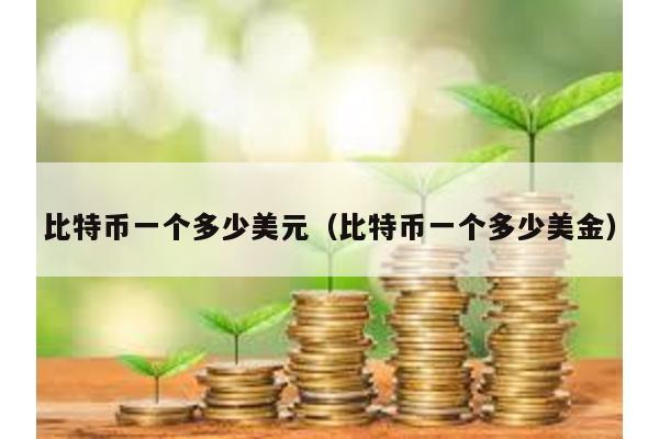 比特幣一個(gè)多少美元(比特幣一個(gè)多少美金)