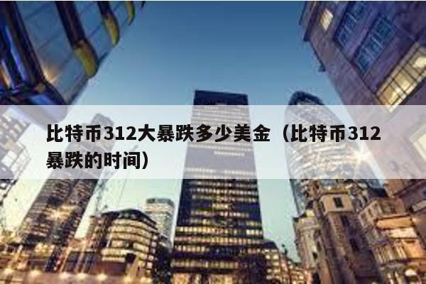 比特幣312大暴跌多少美金(比特幣312暴跌的時間)