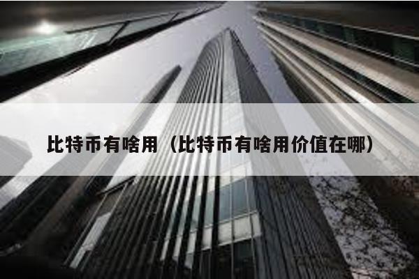 比特幣有啥用(比特幣有啥用價(jià)值在哪)