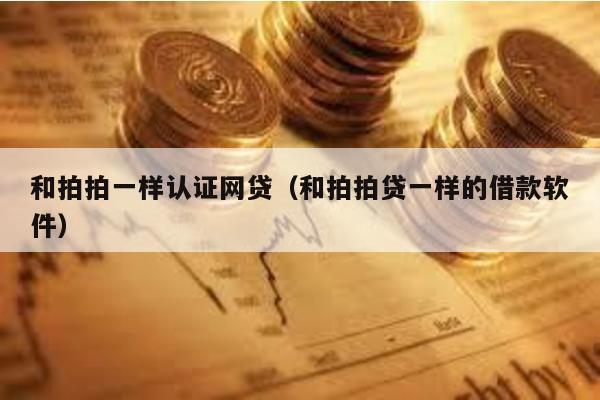 和拍拍一樣認(rèn)證網(wǎng)貸(和拍拍貸一樣的借款軟件)