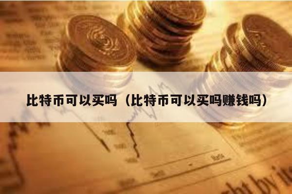 比特幣可以買嗎(比特幣可以買嗎賺錢嗎)