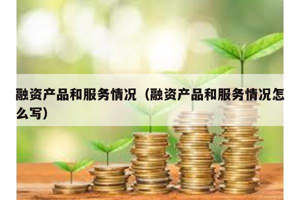 融資產(chǎn)品和服務(wù)情況(融資產(chǎn)品和服務(wù)情況怎么寫)