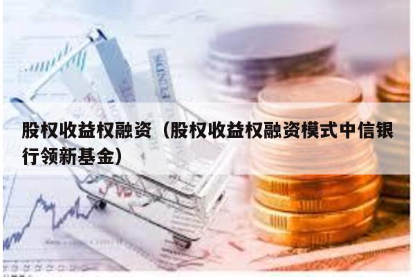 股權(quán)收益權(quán)融資(股權(quán)收益權(quán)融資模式中信銀行領(lǐng)新基金)