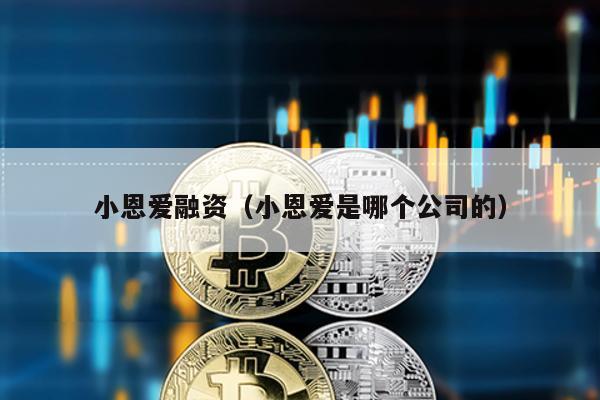 小恩愛融資(小恩愛是哪個公司的)