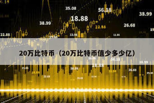 20萬比特幣(20萬比特幣值少多少億)
