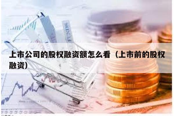 上市公司的股權融資額怎么看(上市前的股權融資)