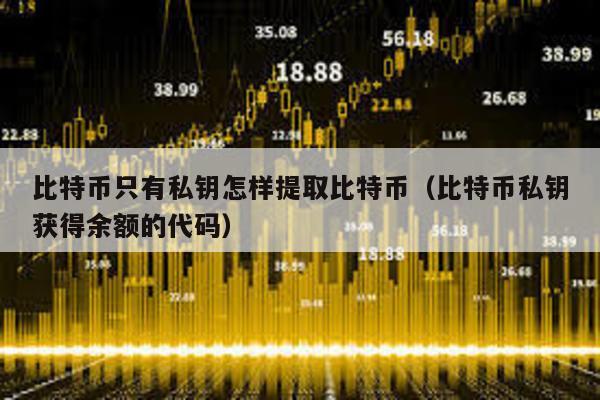 比特幣只有私鑰怎樣提取比特幣(比特幣私鑰獲得余額的代碼)