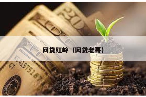 網貸紅嶺(網貸老哥)