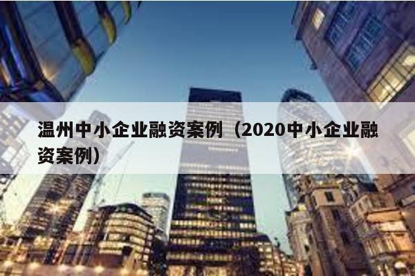 溫州中小企業融資案例(2020中小企業融資案例)