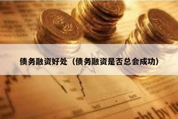 債務(wù)融資好處(債務(wù)融資是否總會(huì)成功)
