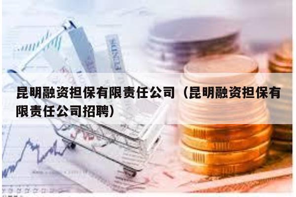 昆明融資擔保有限責任公司(昆明融資擔保有限責任公司招聘)