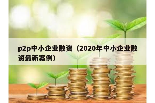 p2p中小企業(yè)融資(2020年中小企業(yè)融資最新案例)