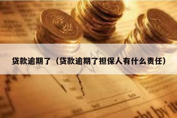 貸款逾期了(貸款逾期了擔(dān)保人有什么責(zé)任)