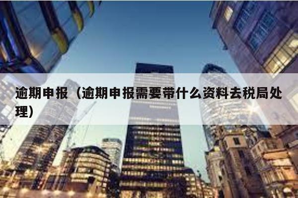 逾期申報(bào)(逾期申報(bào)需要帶什么資料去稅局處理)