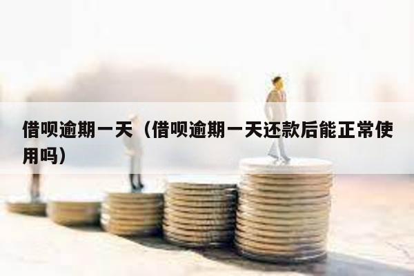 借唄逾期一天(借唄逾期一天還款后能正常使用嗎)
