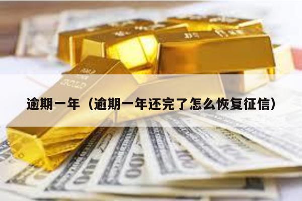 逾期一年(逾期一年還完了怎么恢復(fù)征信)